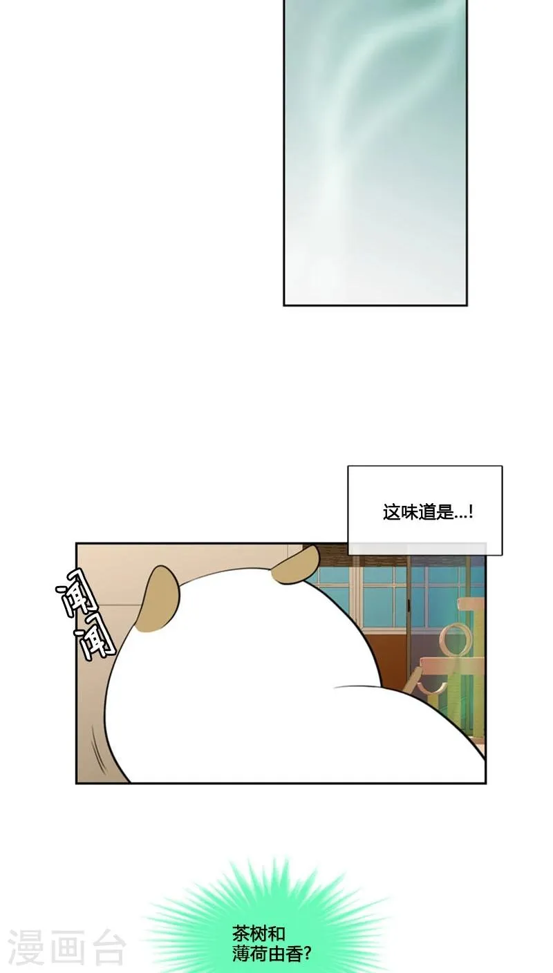第79话 第29页