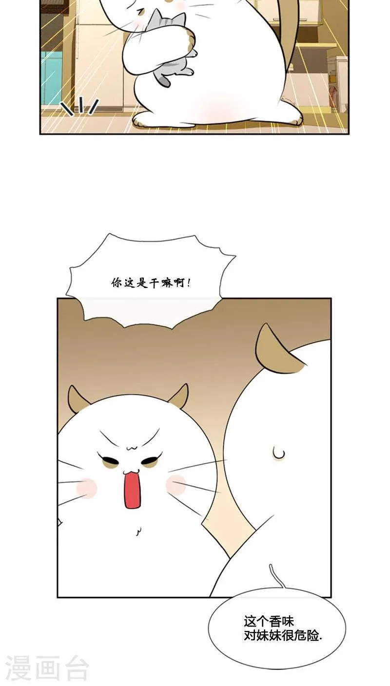 第79话 第31页