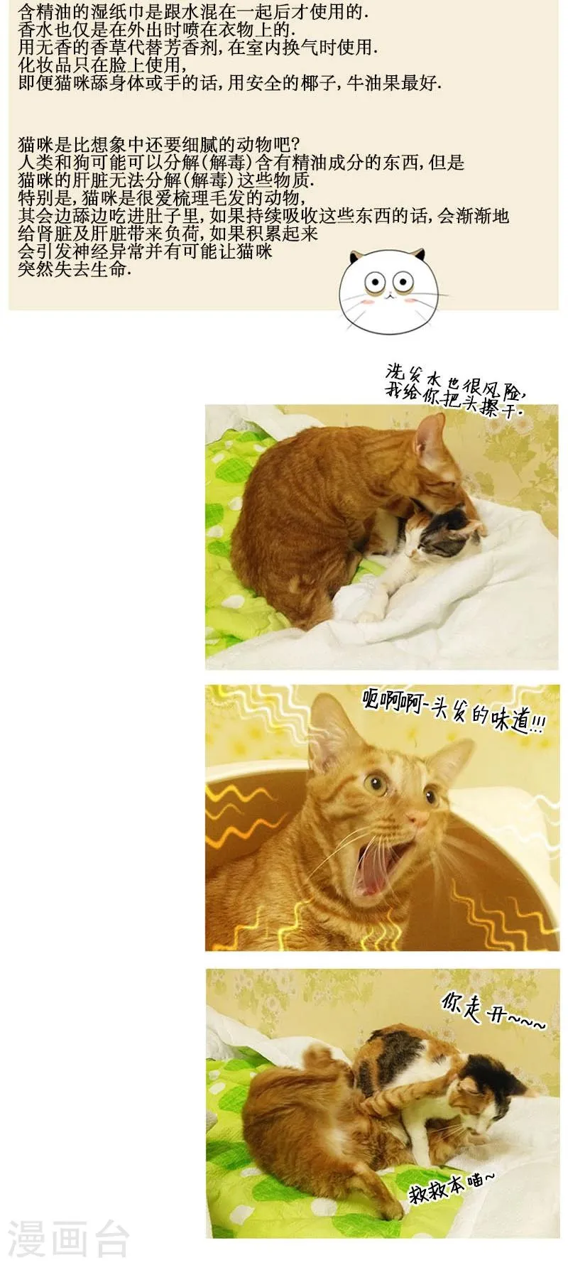 第79话 第35页