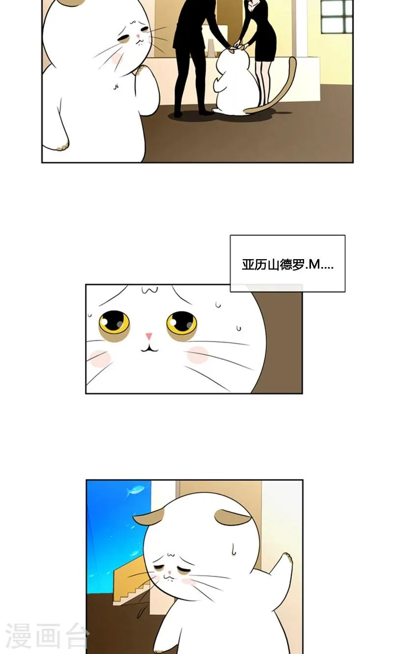 第88话 第20页