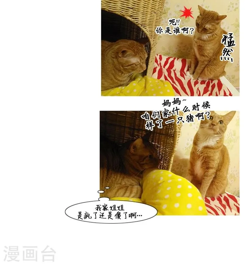 第88话 第42页
