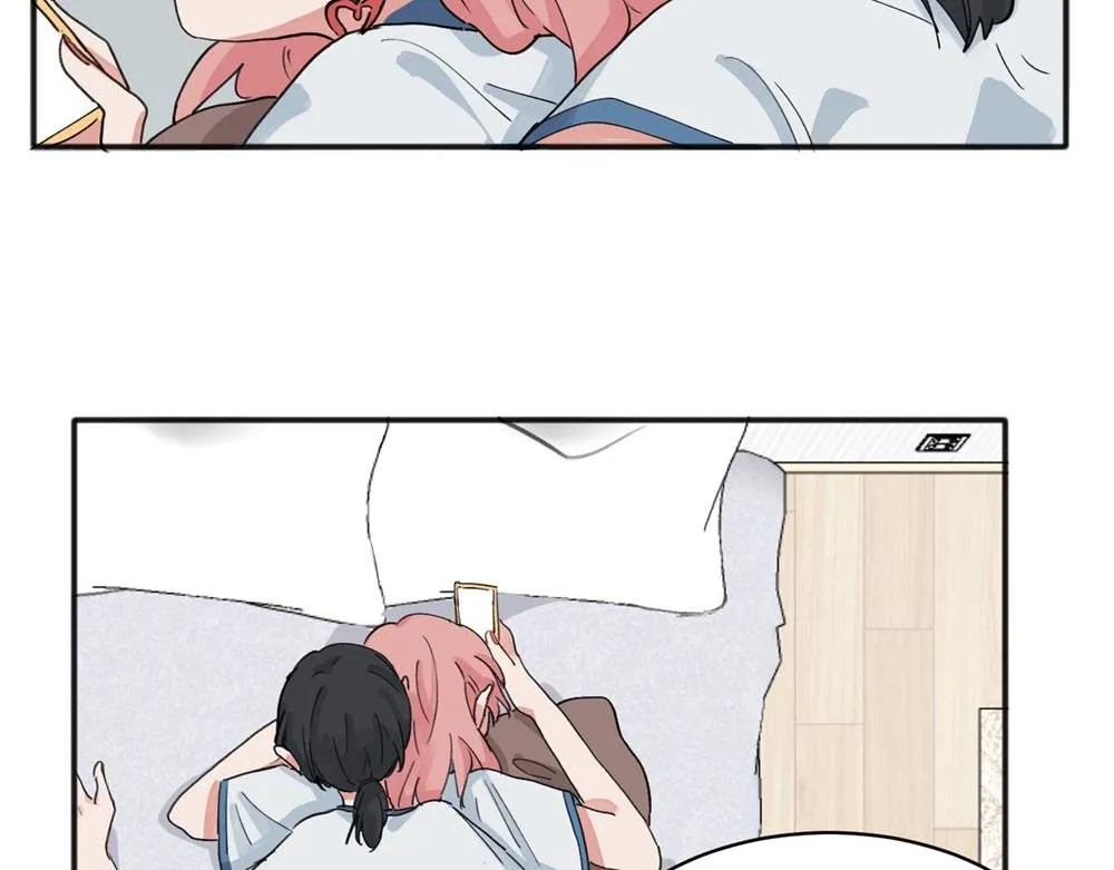 12 第41页
