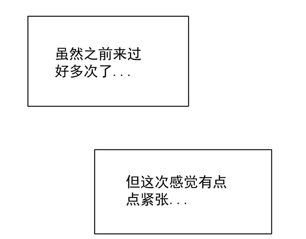11 第8页
