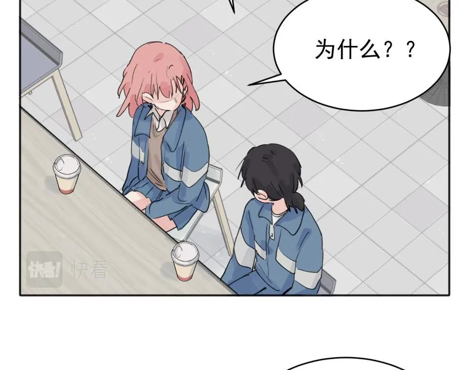 08 第17页