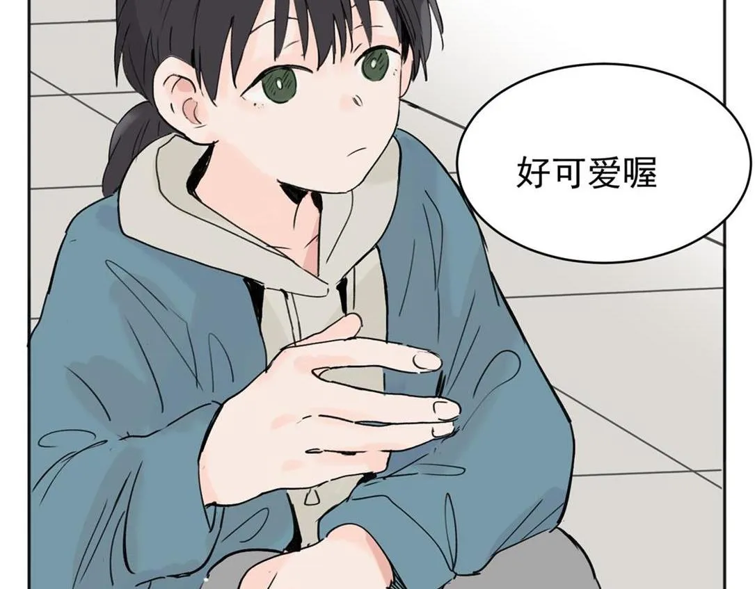 03 第51页