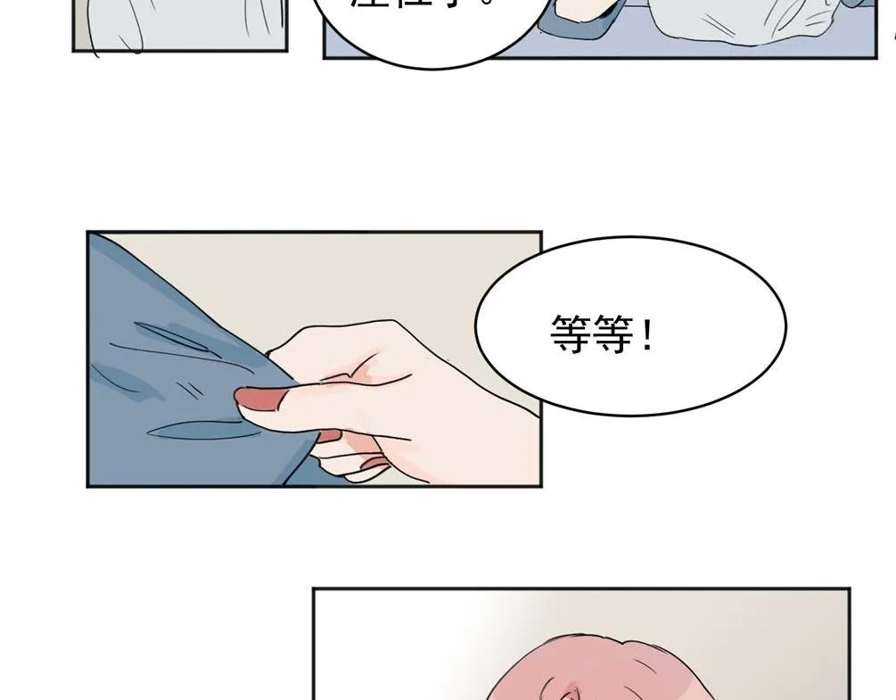 02 第41页