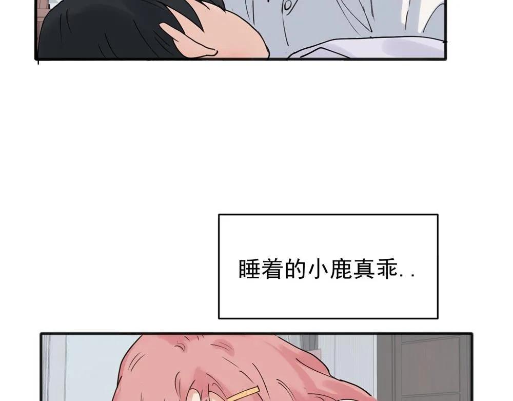 21 第26页
