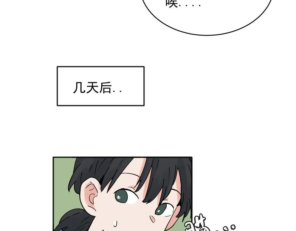 25 第25页