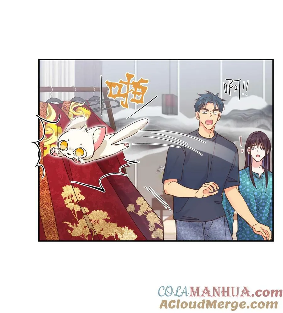119 礼金 第13页