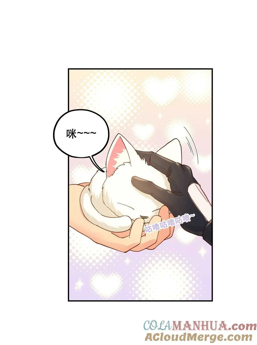 120 小~猫~咪~ 第29页