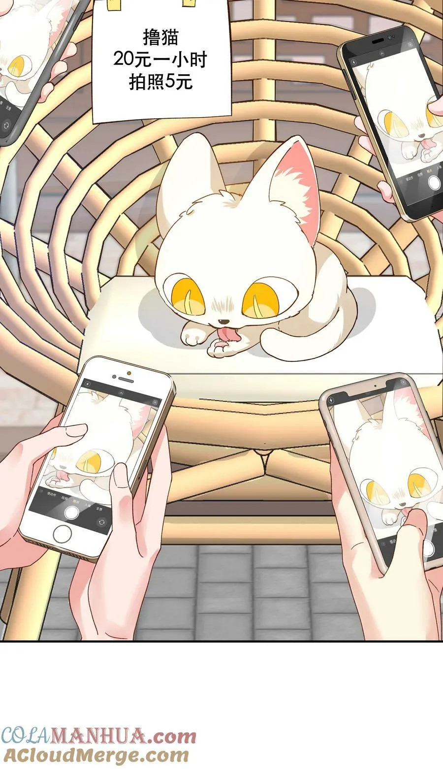 120 小~猫~咪~ 第35页