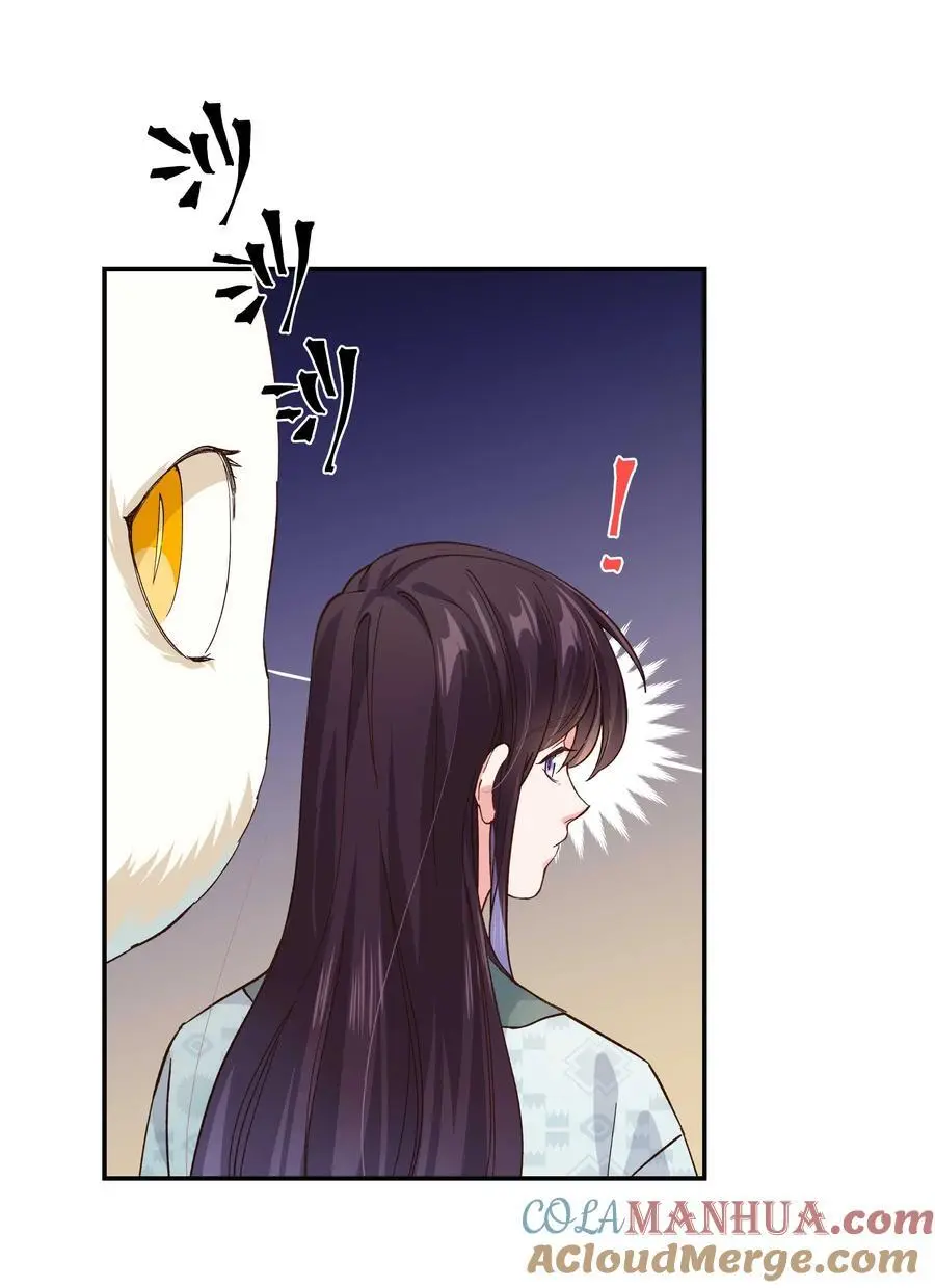 137 最弱的一个？ 第9页