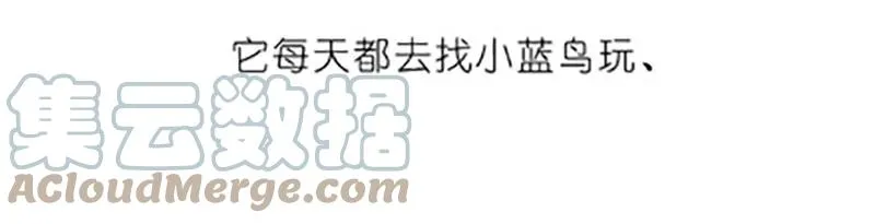 番外20 飞星喵五 第5页