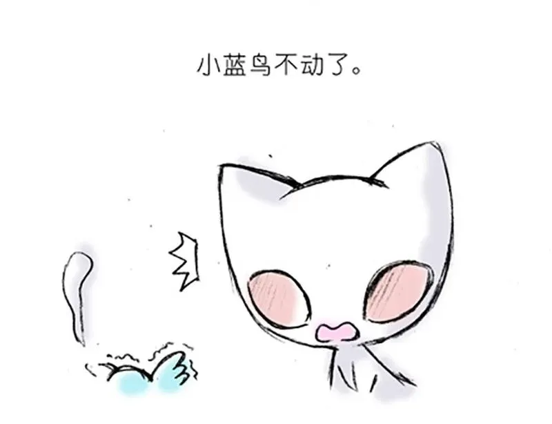 番外20 飞星喵五 第12页