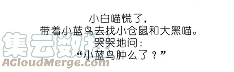 番外20 飞星喵五 第13页