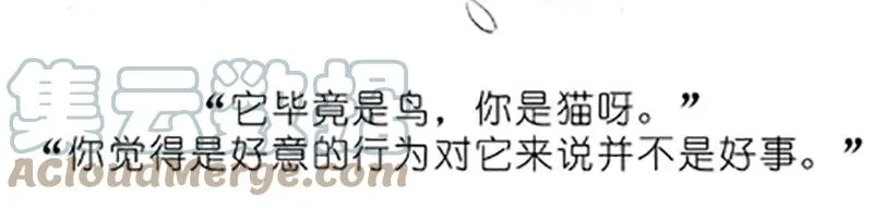番外20 飞星喵五 第17页