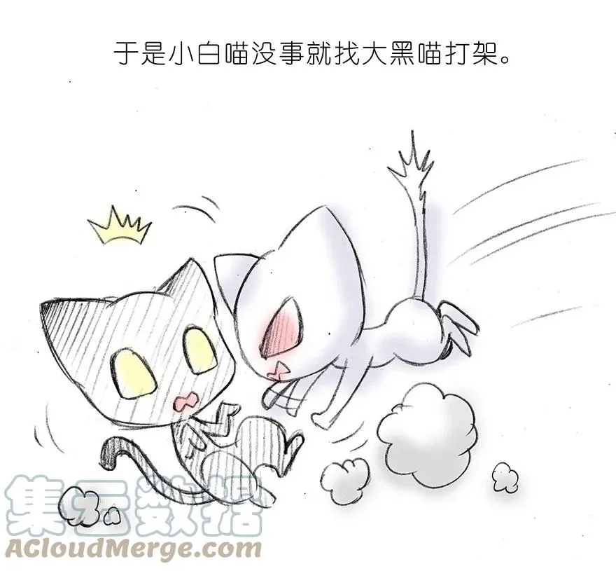 番外15 飞星喵二 第5页