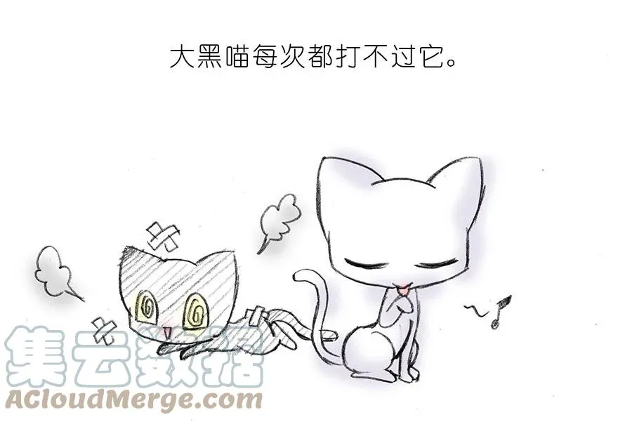 番外15 飞星喵二 第6页