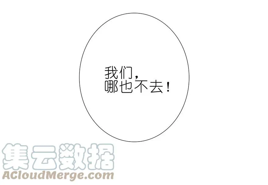 203 第17页