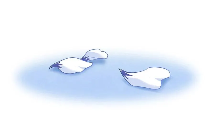 191 第14页
