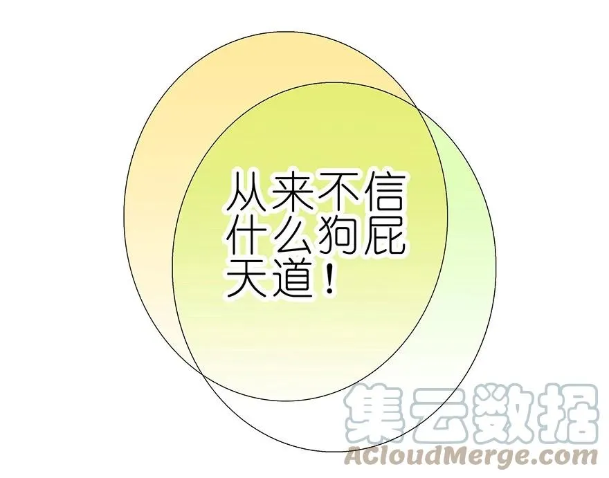 197.5 第17页