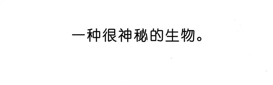 番外25 飞星喵六 第4页
