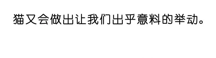番外25 飞星喵六 第14页