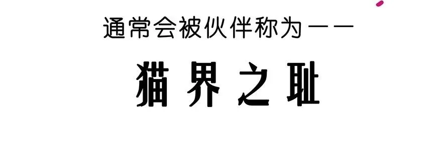 番外25 飞星喵六 第20页