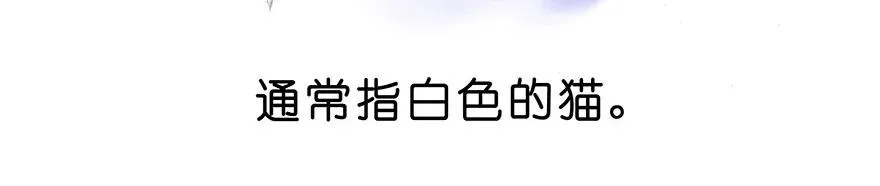 番外26 飞星喵七 第4页