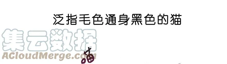 番外26 飞星喵七 第7页
