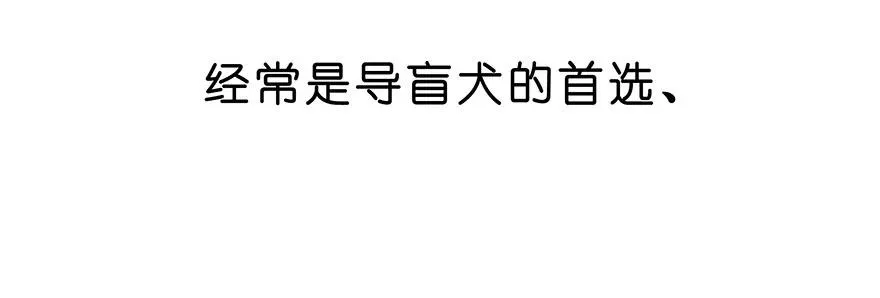 番外26 飞星喵七 第10页
