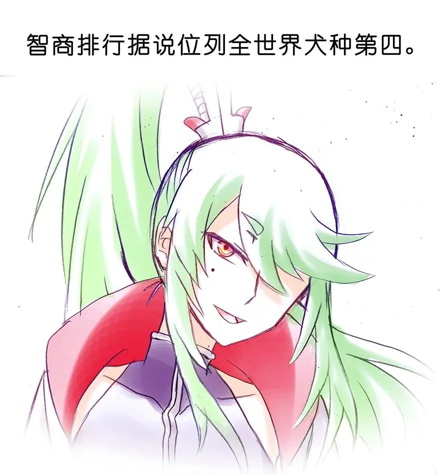 番外26 飞星喵七 第12页