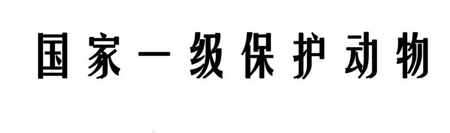番外26 飞星喵七 第14页
