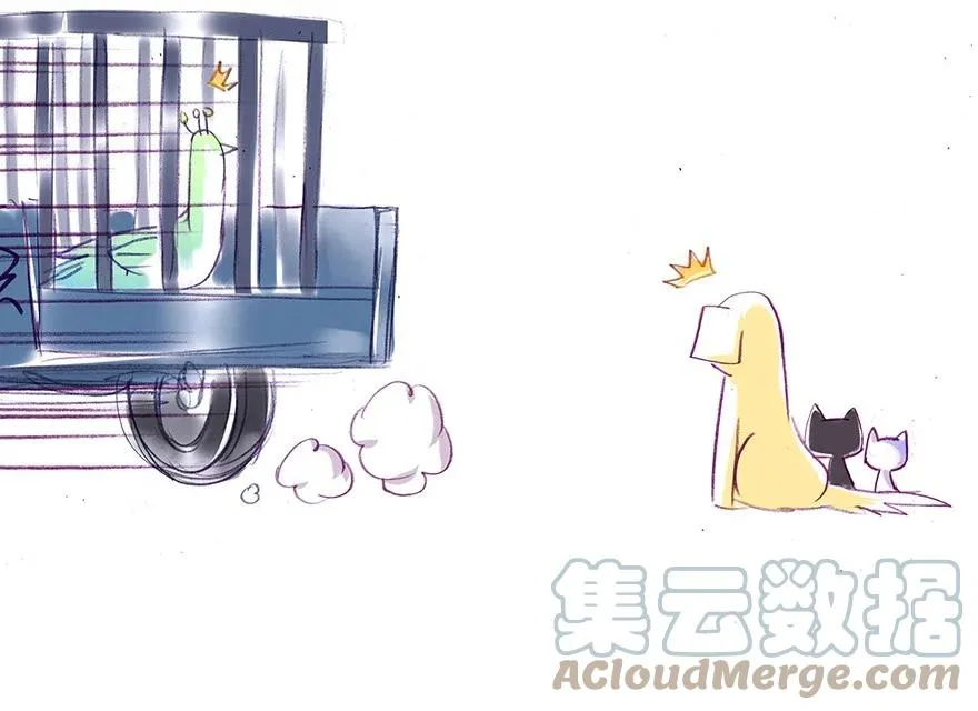 番外26 飞星喵七 第17页