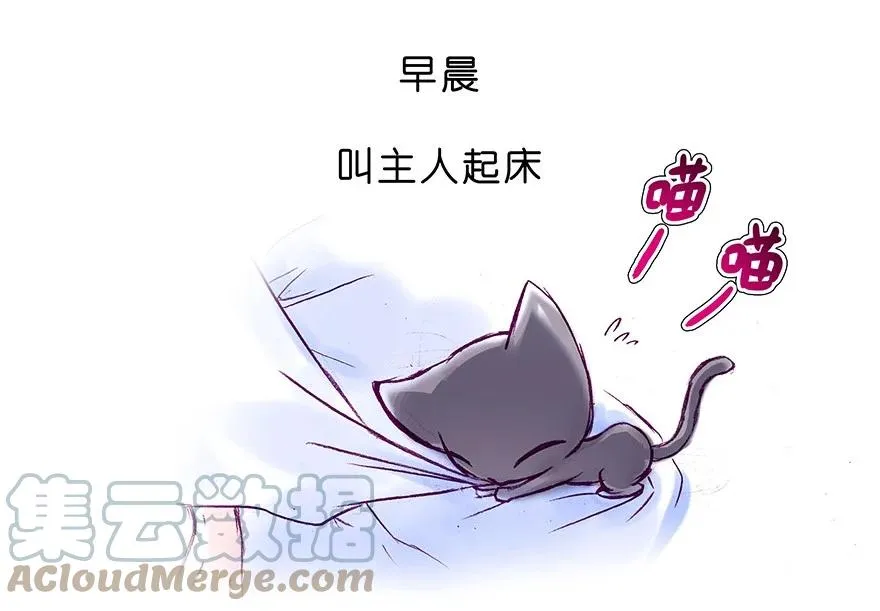 番外28 飞星喵九 第5页