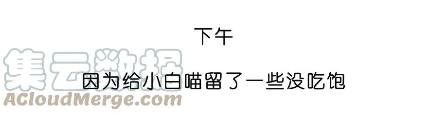 番外28 飞星喵九 第11页