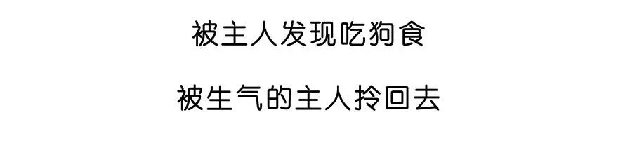 番外28 飞星喵九 第16页
