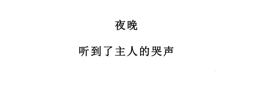 番外28 飞星喵九 第22页