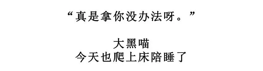 番外28 飞星喵九 第24页