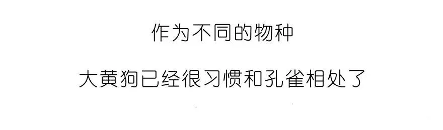 番外30 飞星喵十 第6页
