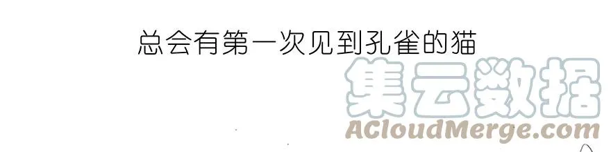 番外30 飞星喵十 第9页