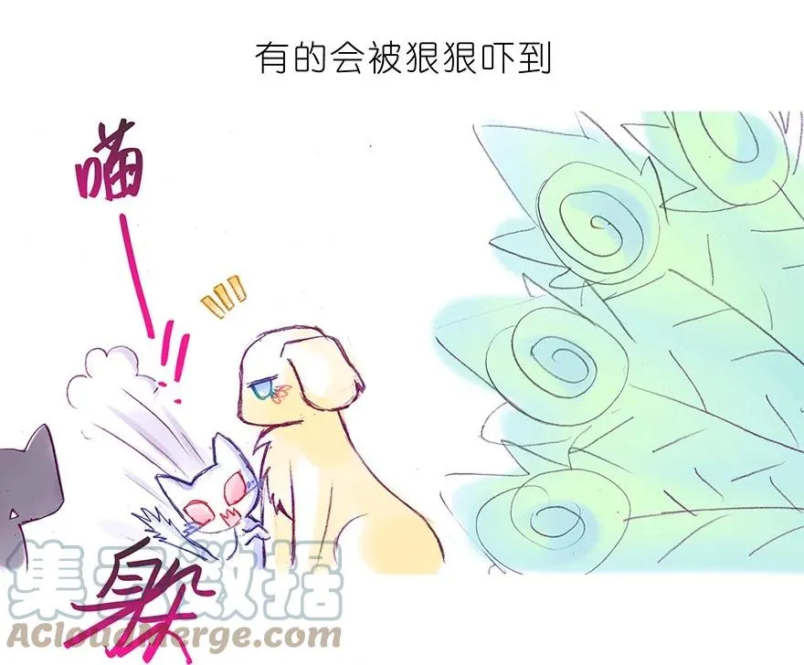 番外30 飞星喵十 第11页