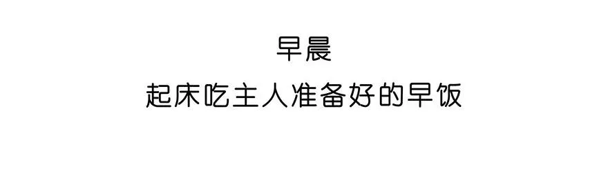 番外27 飞星喵八 第4页