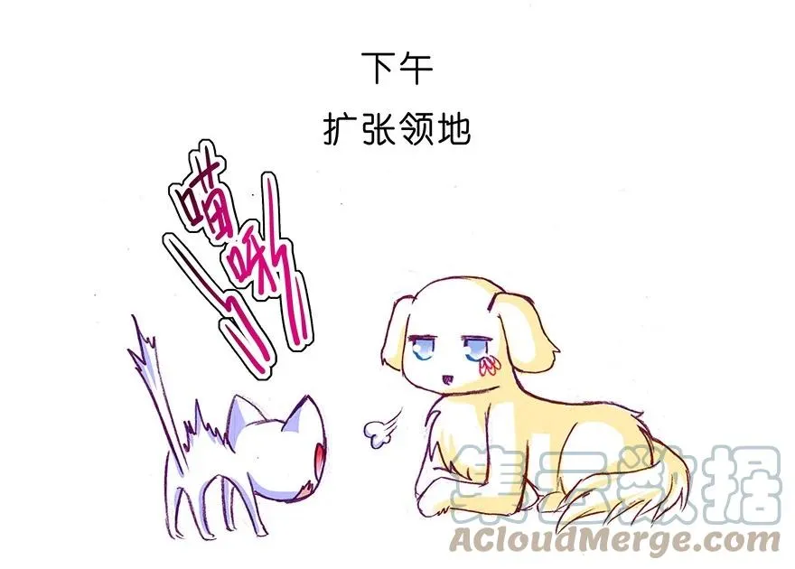 番外27 飞星喵八 第11页