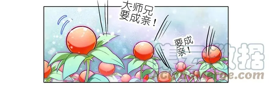 81 第17页