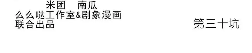 30 第2页