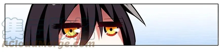 31 第17页