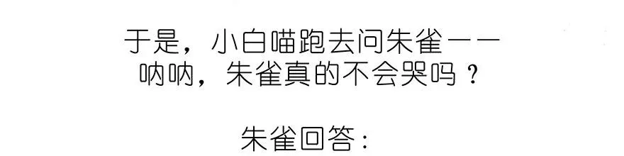 番外32 飞星喵十二 第4页