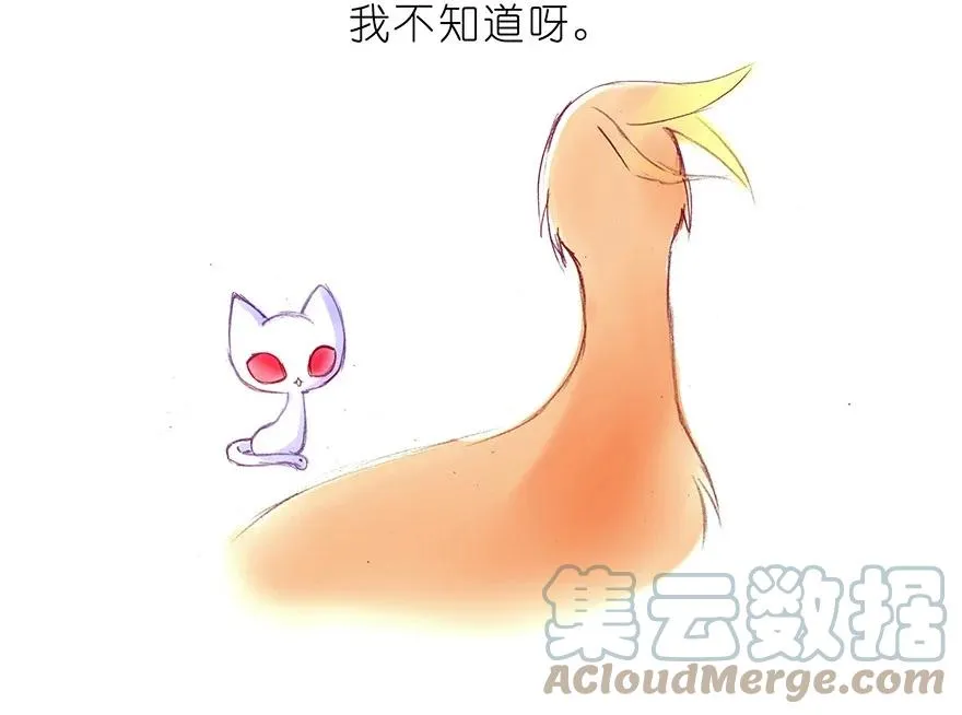 番外32 飞星喵十二 第5页