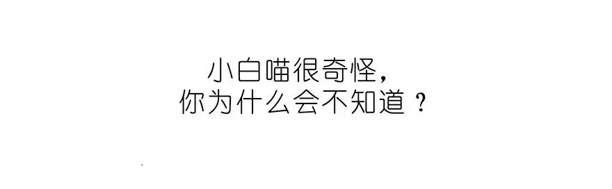 番外32 飞星喵十二 第6页